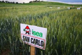 Campo prova Isea Agroservice