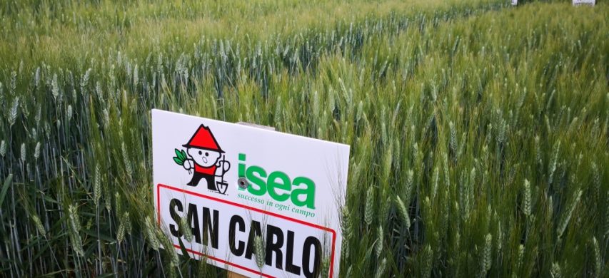 Campo prova Isea Agroservice