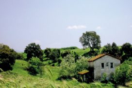 casa fatiscente