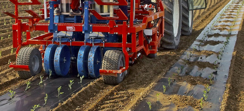 trapianta-pacciamatrice in azione