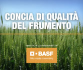 Progetto Concia di qualità del frumento