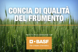 Progetto Concia di qualità del frumento