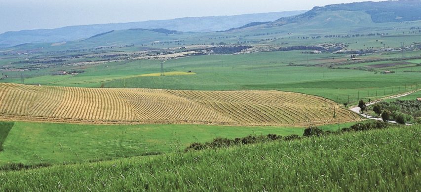 paesaggio collinare