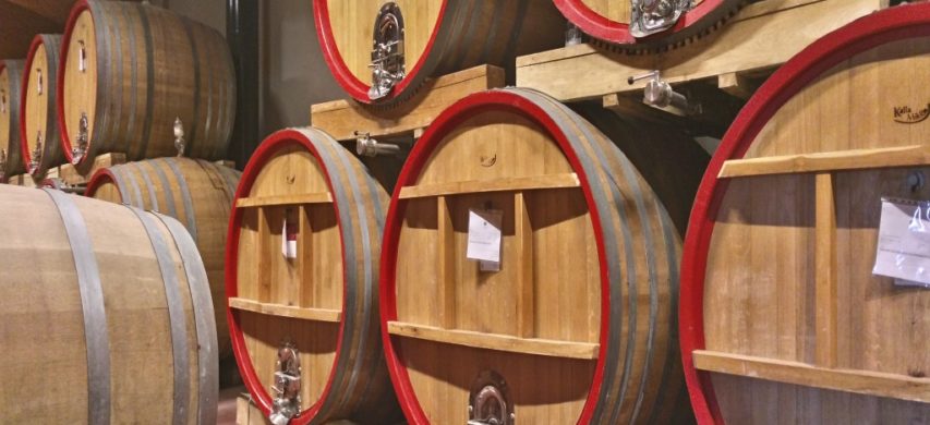 Botti legno vino