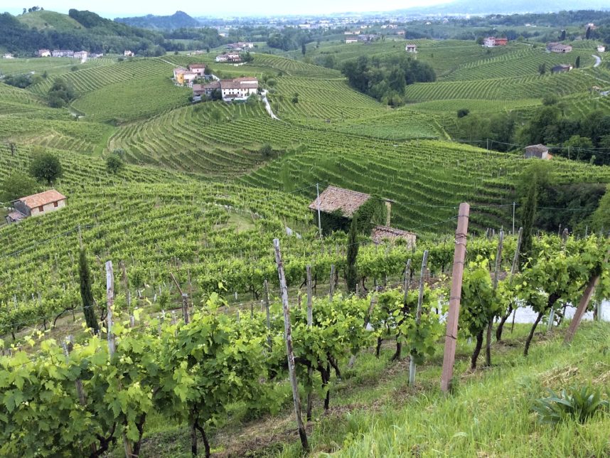 prosecco