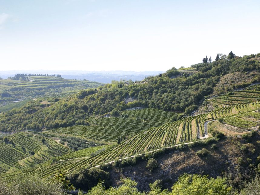 valpolicella