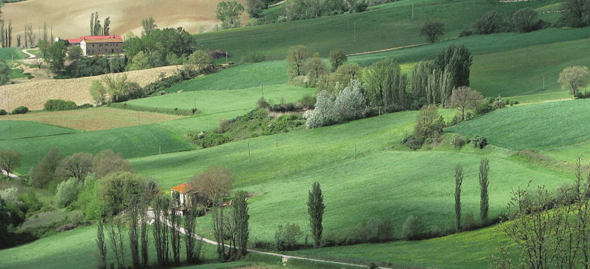 colline