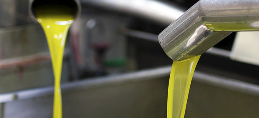 estrazione olio di oliva
