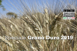 Speciale Grano Duro 2019