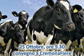 Convegno Cremona 2019