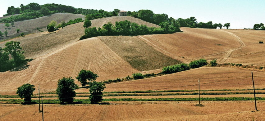 colline