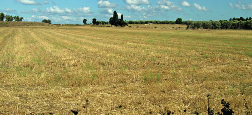 puglia