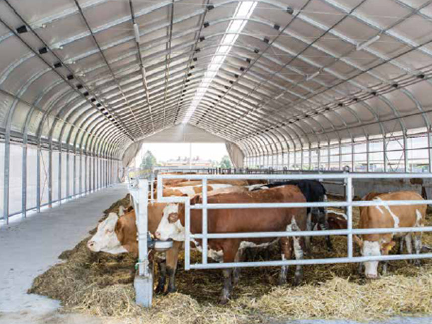 Farm Tunnel L'Informatore Agrario