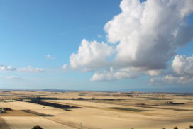 grano puglia