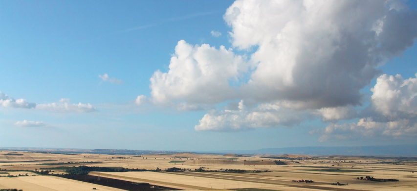 grano puglia