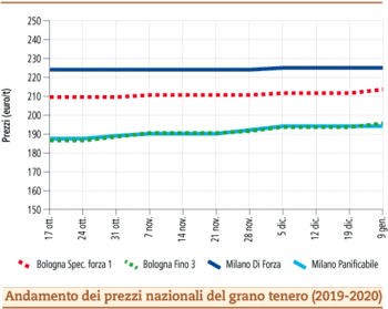 prezzi grano tenero gennaio 2020 lunedì 13