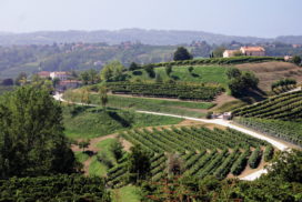 zona di produzione del prosecco