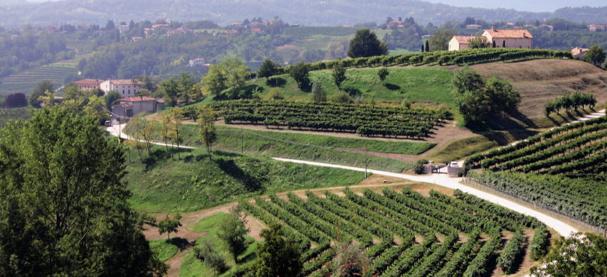 zona di produzione del prosecco