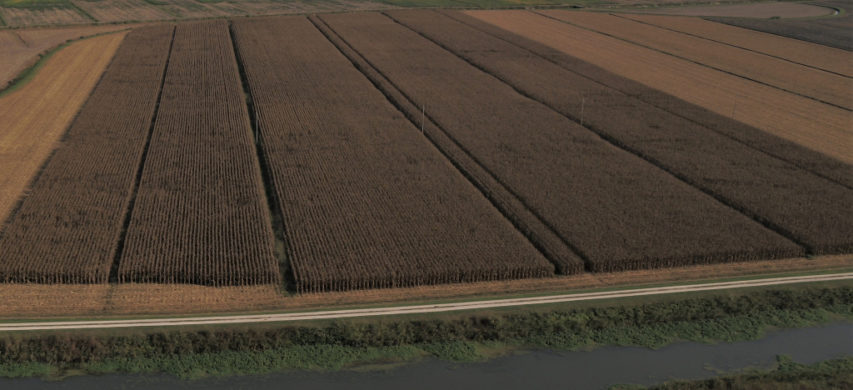 Azienda Serafini