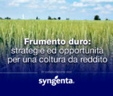 Frumento duro - Cover progetto con Sygenta