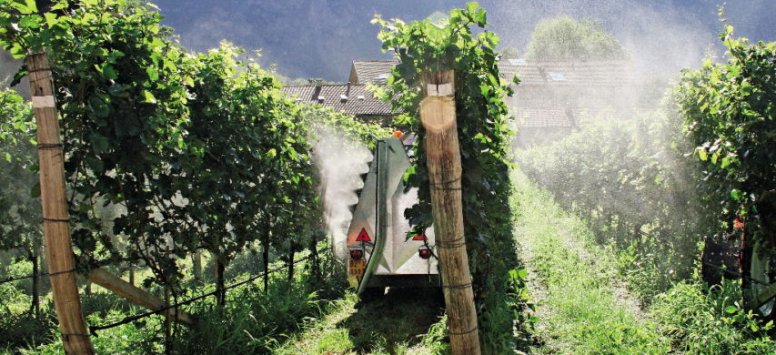 trattamento vigneto