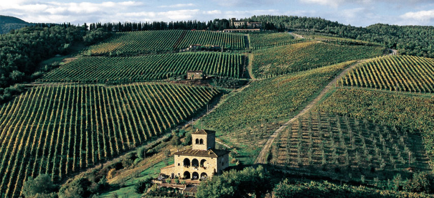 Chianti vigneti