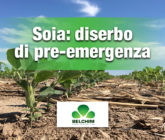 Soia diserbo pre-emergenza cover