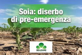 Soia diserbo pre-emergenza cover