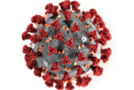 Coronavirus. Credit: Center for Disease Control and Prevention Atlanta