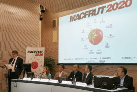 macfrut