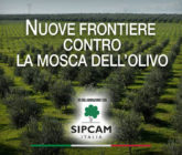 Cover mosca olivo Sipcam