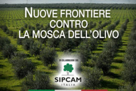 Cover mosca olivo Sipcam