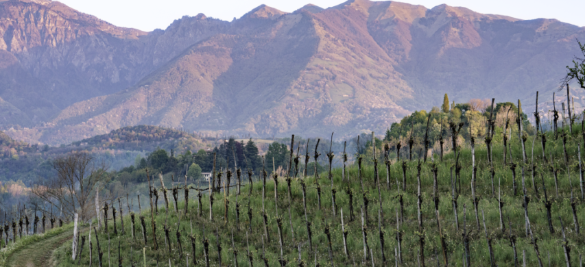 Colline Asolo