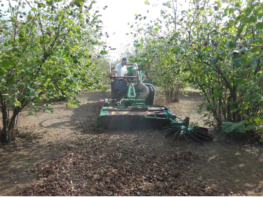 Raccolta meccanizzata del nocciolo L'Informatore Agrario