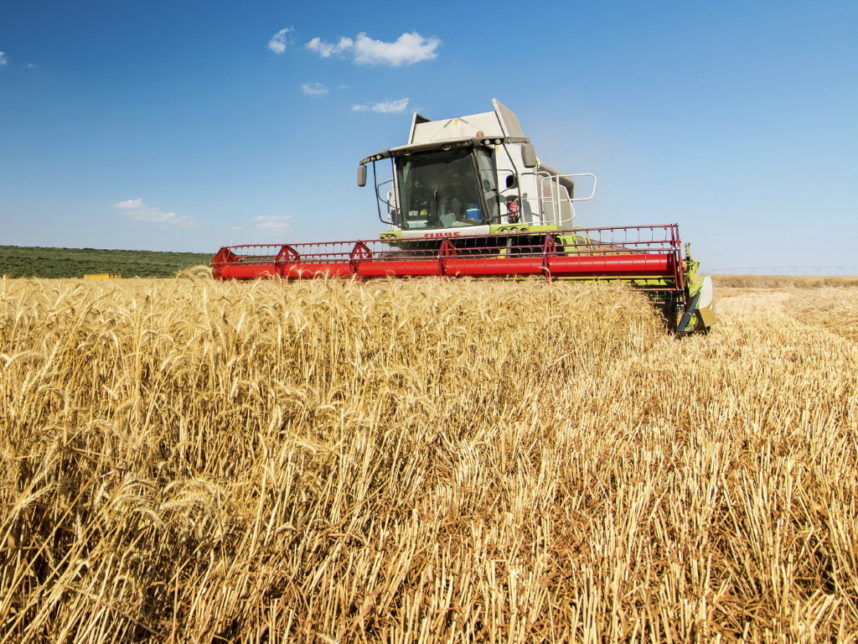 raccolta grano duro L'Informatore Agrario raccolta grano duro L'Informatore Agrario