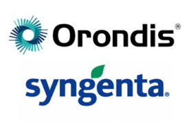 Orondis Syngenta