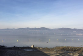 Lago Maggiore basso