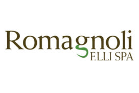 Romagnoli logo