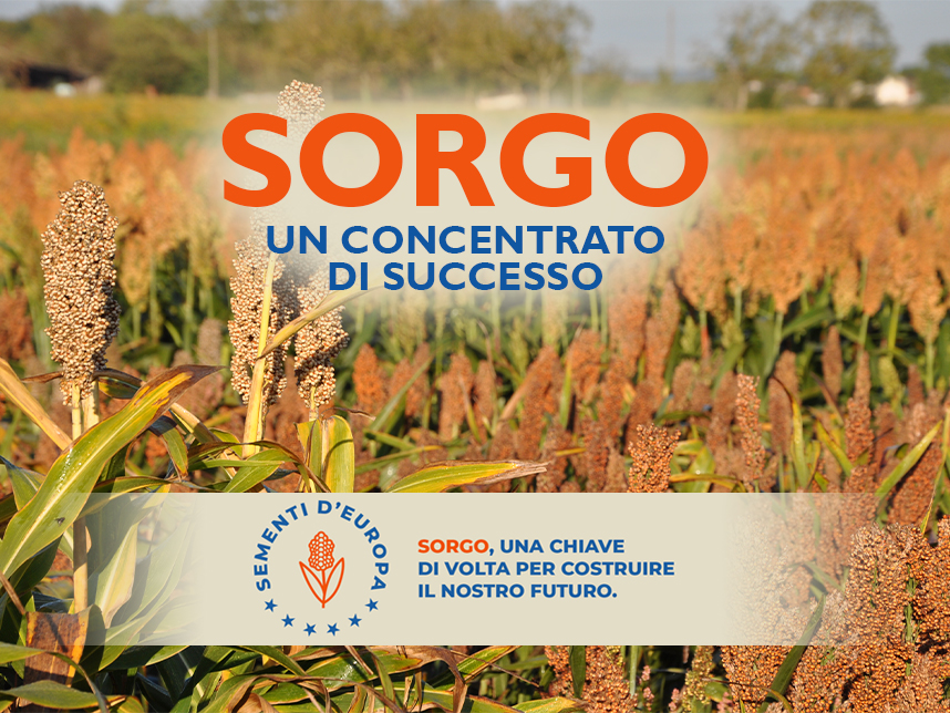 immagine in evidenza