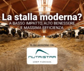 Stalla moderna Nutristar