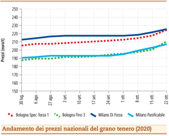 prezzi grano tenero ottobre 2020 lunedì 26