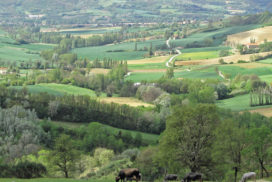 paesaggio agricolo