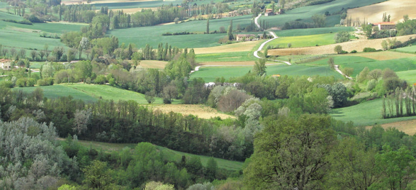 paesaggio agricolo