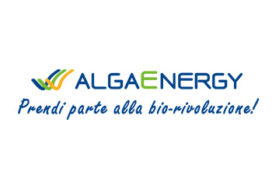 Algaenergy loro