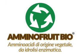 amminofruit bio logo