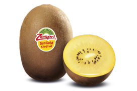 Kiwi-Zespri-SunGold