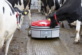 Lely Discovery 120 Collector