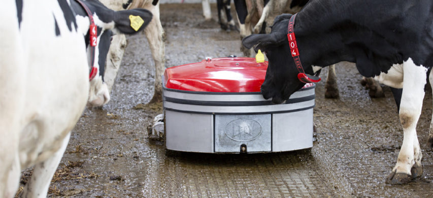 Lely Discovery 120 Collector