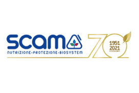 Scam 70 anni