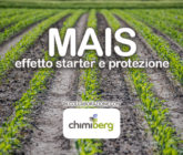 Mais effetto starter e protezione Chimiberg cover